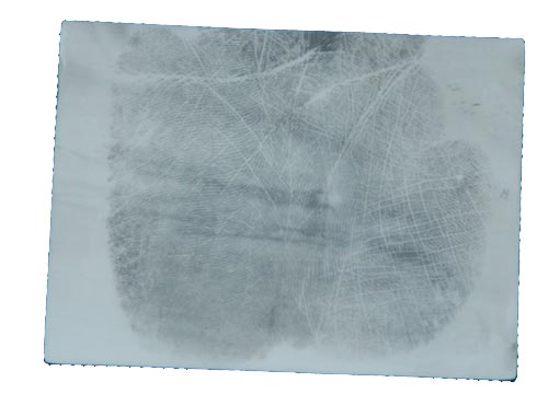 白色明胶掌纹提取片(图2)